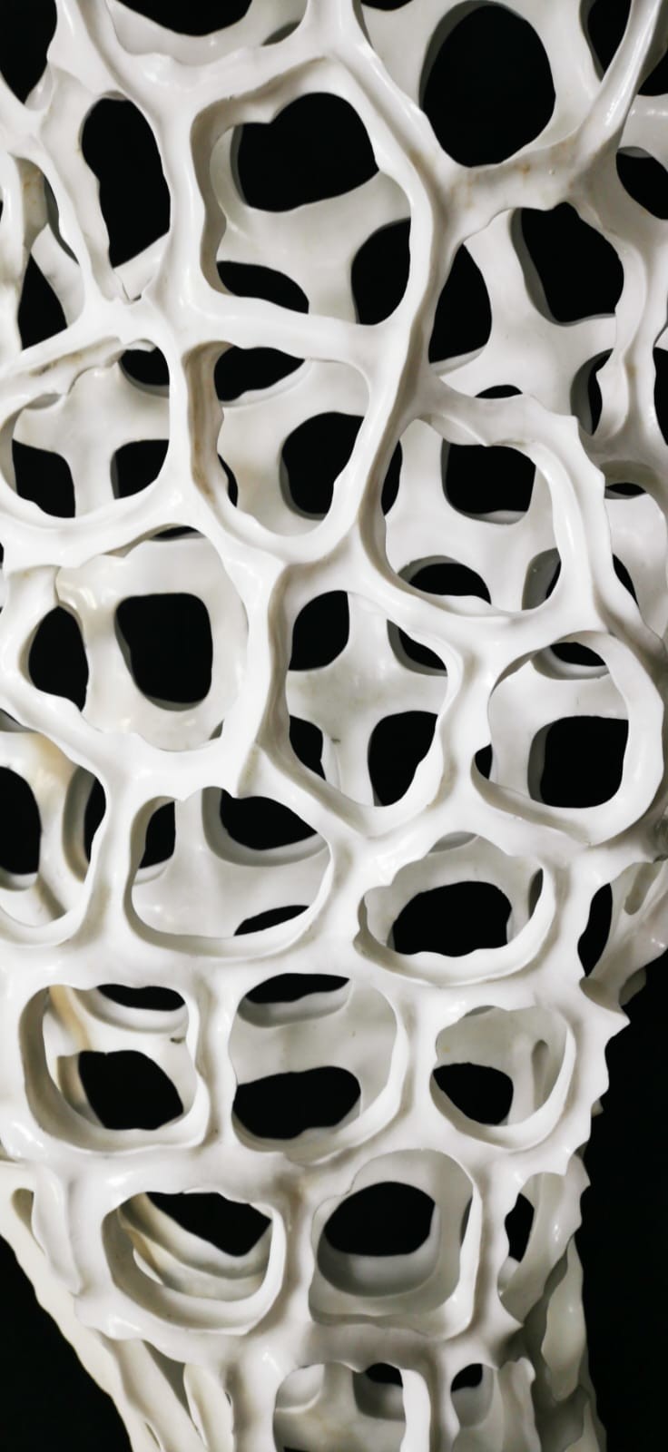 Simone+Filosi+and+the+challenge+to+the+material.